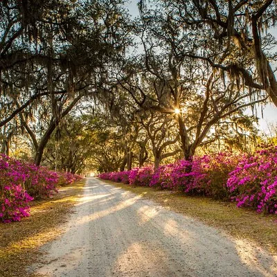 Wormsloe Historic Site